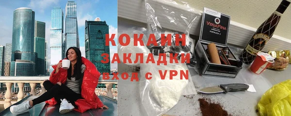 крисы Козельск